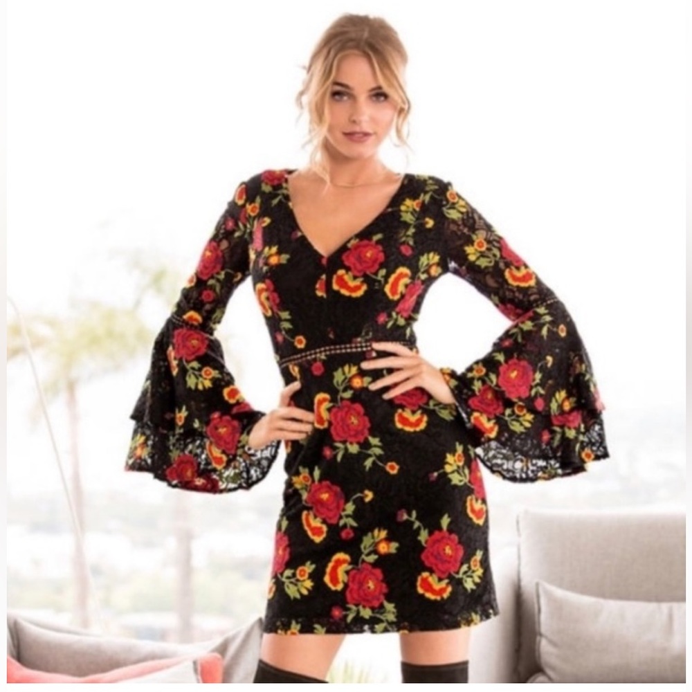 Alexie Admor (for Boston Proper) size 14 Butterfly sleeve lace dress